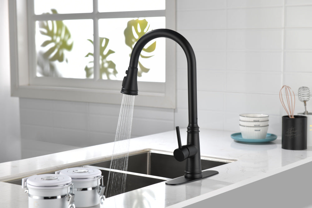 Single Handle High Arc Pull Out Kitchen Faucet,Single Level Stainless Steel Kitchen Sink Faucets with Pull Down Sprayer